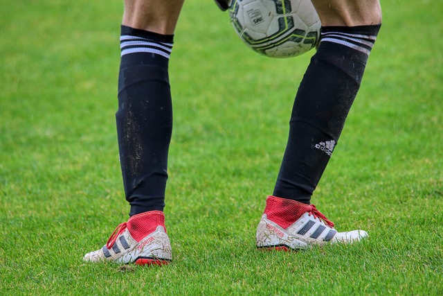 现在他们应 现在他们应