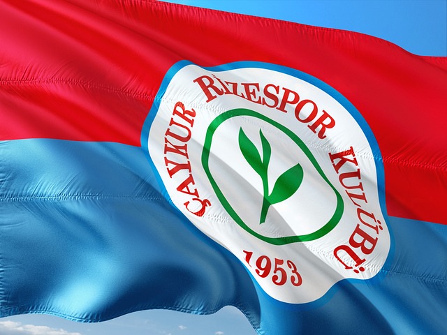 广汽行致互 广汽行致互