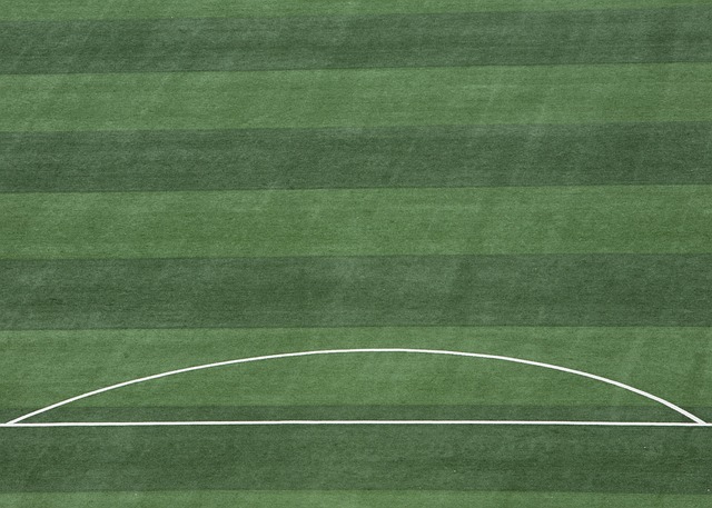 誉或名气 誉或名气