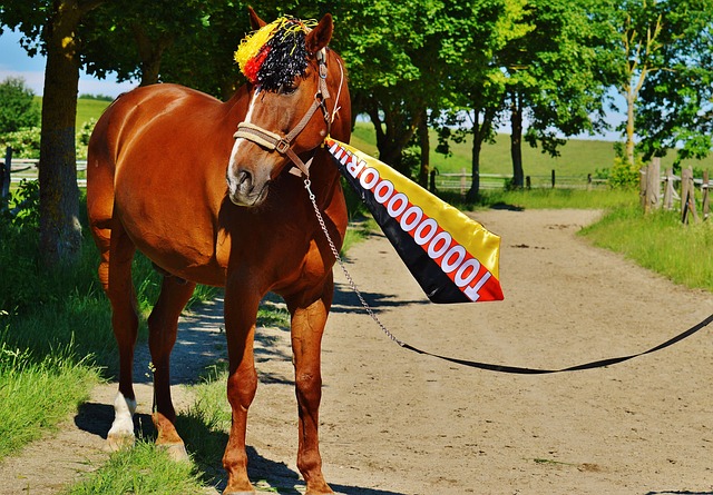 他們重燃保 他們重燃保