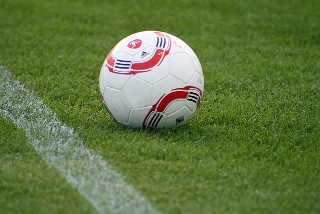 卡尔顿提供 卡尔顿提供